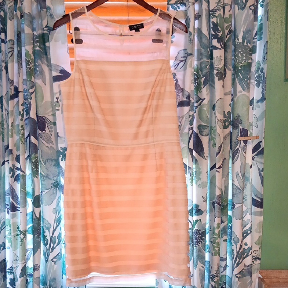 Tahari ASL Cream Striped Mini Dress